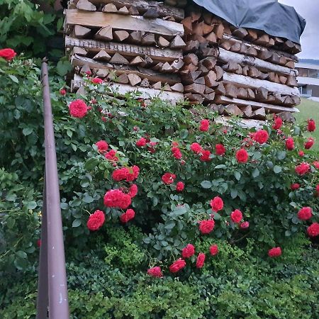 Апартаменты Dreamlandranch Vorarlberg Schlins Экстерьер фото